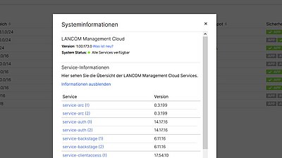 Screenshot: Systeminformationen in der R&S®LMC