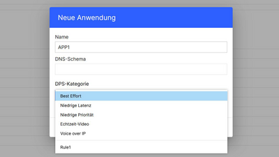 Screenshot: DPS-Kategorie setzen in der R&S®LMC